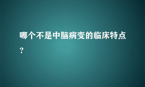 哪个不是中脑病变的临床特点？