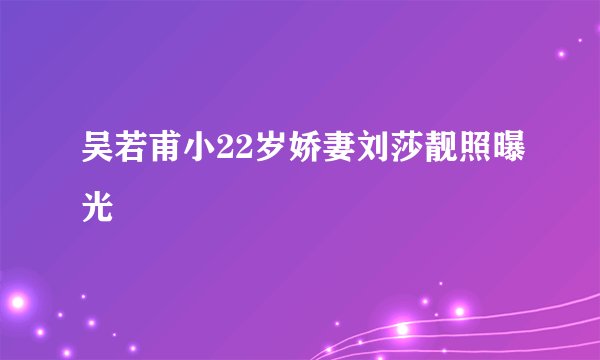 吴若甫小22岁娇妻刘莎靓照曝光
