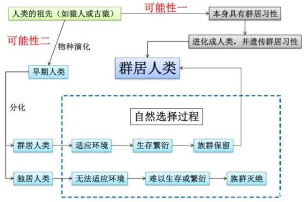 为什么人一定要繁衍后代?
