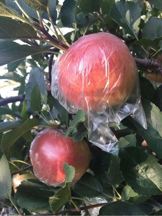 一些农产品滞销的本质是什么?