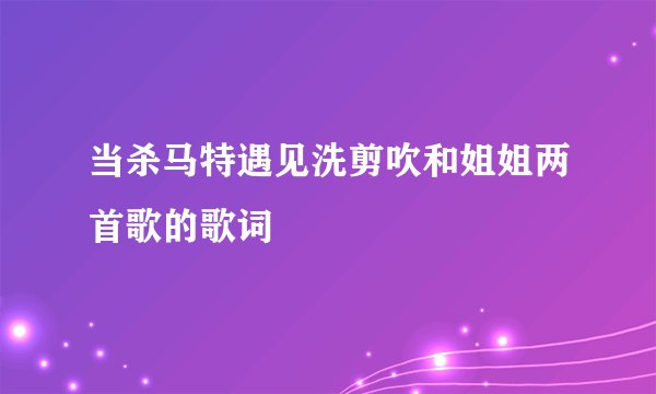 当杀马特遇见洗剪吹和姐姐两首歌的歌词