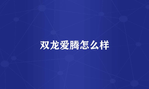 双龙爱腾怎么样