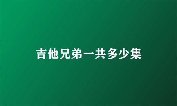 吉他兄弟一共多少集