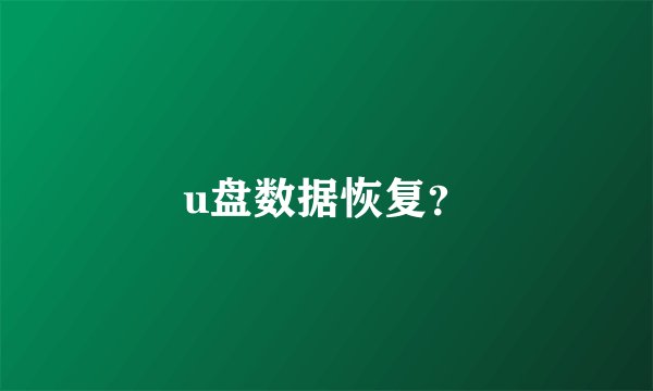 u盘数据恢复？