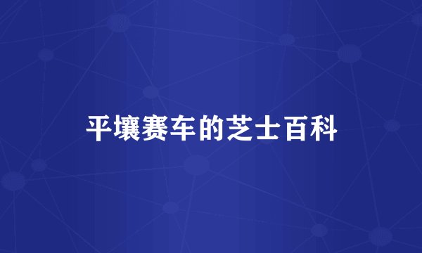 平壤赛车的芝士百科