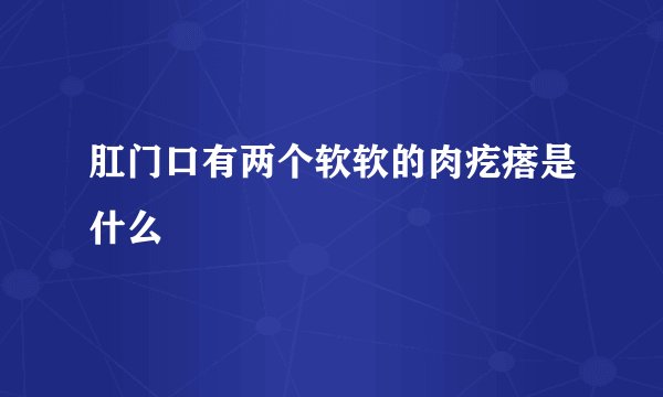 肛门口有两个软软的肉疙瘩是什么