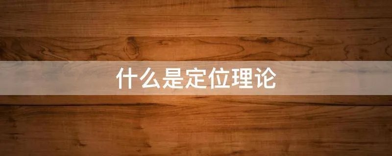 什么是定位理论