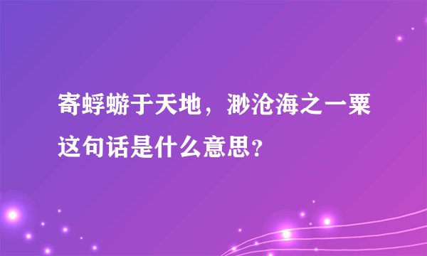 寄蜉蝣于天地,渺沧海之一粟这句话是什么意思?