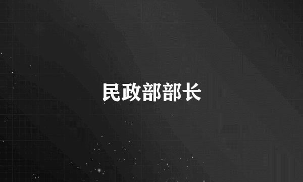 民政部部长