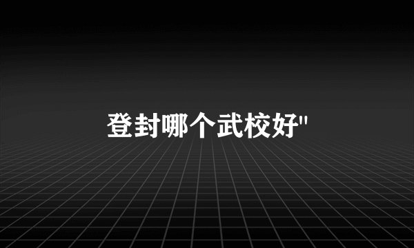 登封哪个武校好