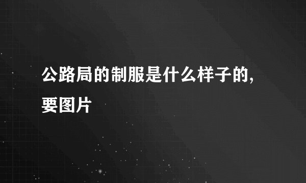 公路局的制服是什么样子的,要图片