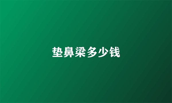 垫鼻梁多少钱