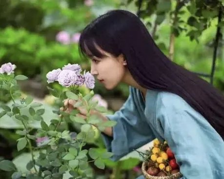 李子柒陷入资本困局,知情人透露现状很惨,事情的真相究竟是什么?