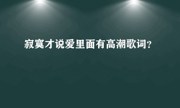 寂寞才说爱里面有高潮歌词？