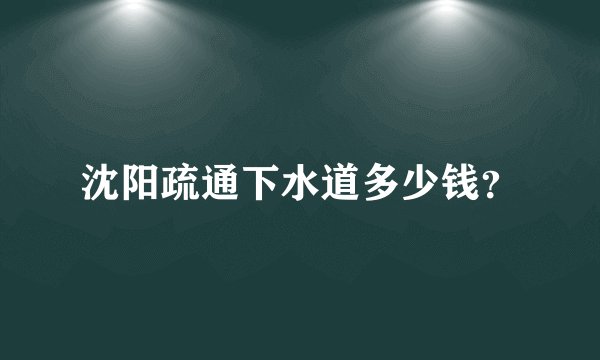 沈阳疏通下水道多少钱？