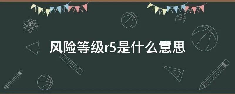 风险等级r5是什么意思