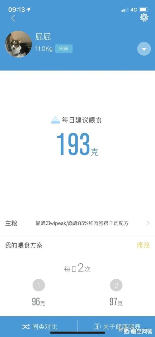 养一只柯基一年大概要多少钱?