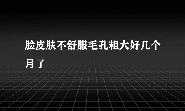 脸皮肤不舒服毛孔粗大好几个月了