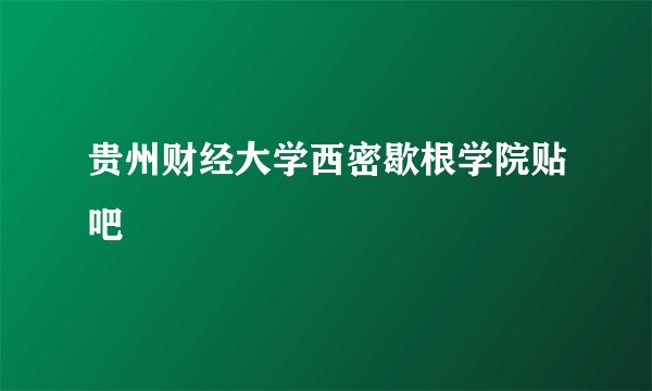 贵州财经大学西密歇根学院贴吧