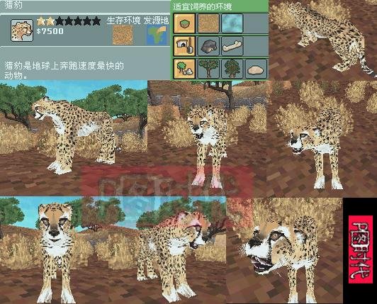 图文攻略 动物园大亨2