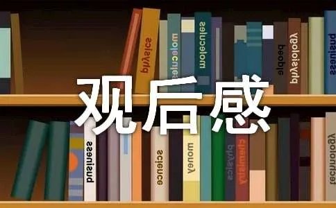 《地雷战》观后感