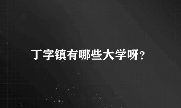 丁字镇有哪些大学呀？