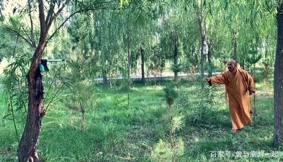 如何评价释延觉的武术功力呢?