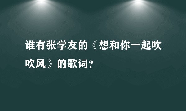 谁有张学友的《想和你一起吹吹风》的歌词？