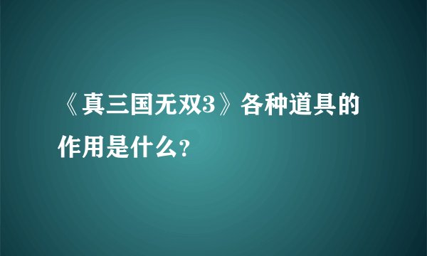 《真三国无双3》各种道具的作用是什么？