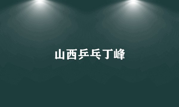 山西乒乓丁峰