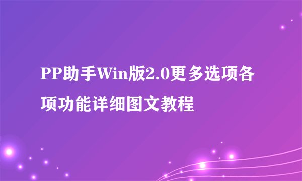 PP助手Win版2.0更多选项各项功能详细图文教程