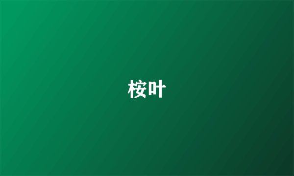 桉叶
