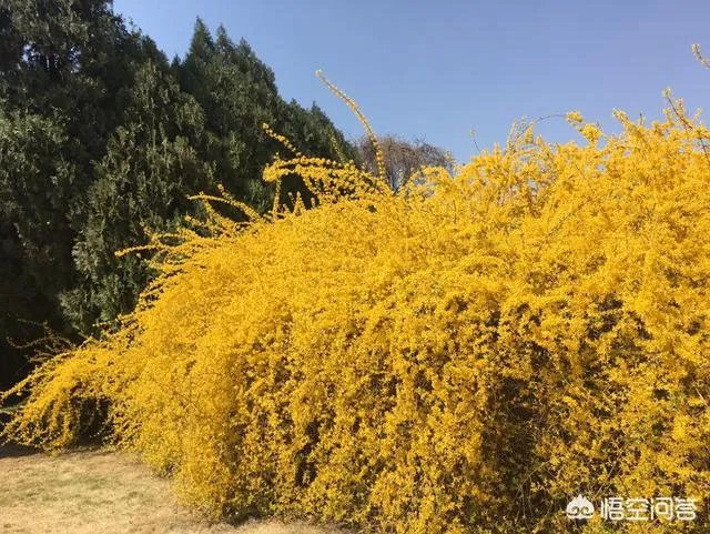 世界上生育率最低的国家韩国,人们平均年薪上百万,为何不愿生孩子?