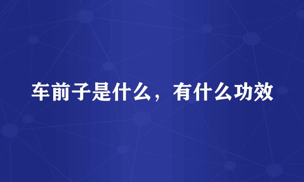 车前子是什么,有什么功效