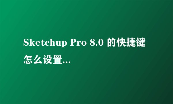 Sketchup Pro 8.0 的快捷键怎么设置?????