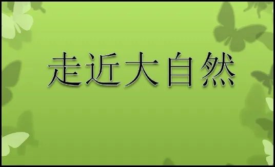 走进