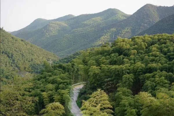 湖州旅游景点都有哪些值得推荐?