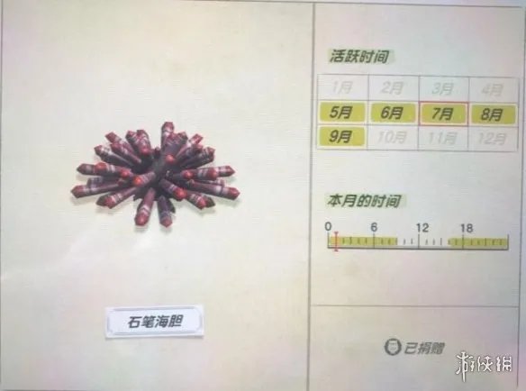 《集合啦动物森友会》海洋生物有哪些?海洋生物价格图鉴