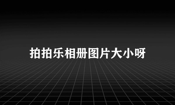 拍拍乐相册图片大小呀