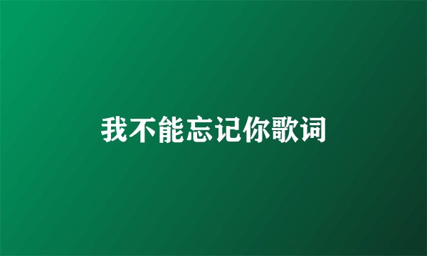 我不能忘记你歌词