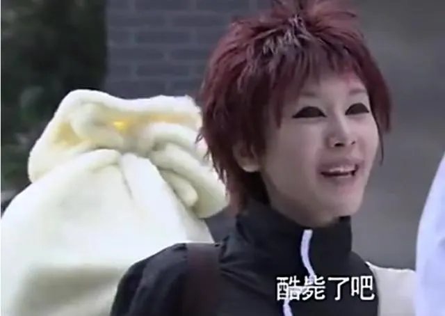 大家如何看待《家的N次方》赵雯的话?