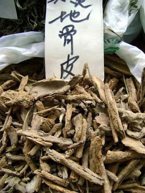 地骨皮图片？
