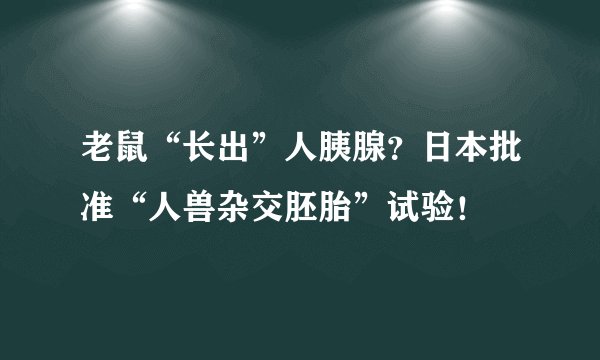 老鼠“长出”人胰腺？日本批准“人兽杂交胚胎”试验！