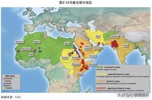 联合国官员说,正在侵袭非洲的蝗虫,会进入了印度,巴基斯坦,你怎么看这些自然现象?