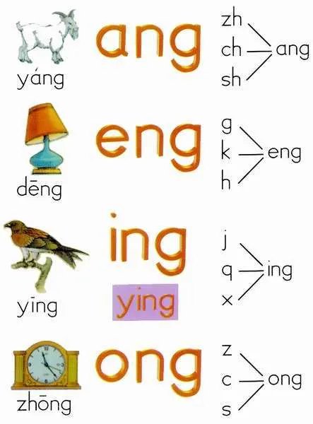 前鼻韵母和后鼻韵母表