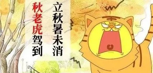 秋老虎是什么意思？
