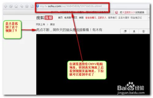 猫头鹰视频看看是真的吗【揭晓骗子】