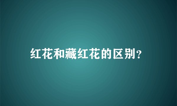 红花和藏红花的区别？
