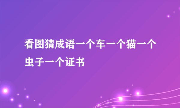看图猜成语一个车一个猫一个虫子一个证书