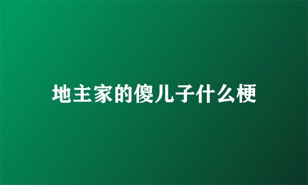 地主家的傻儿子什么梗